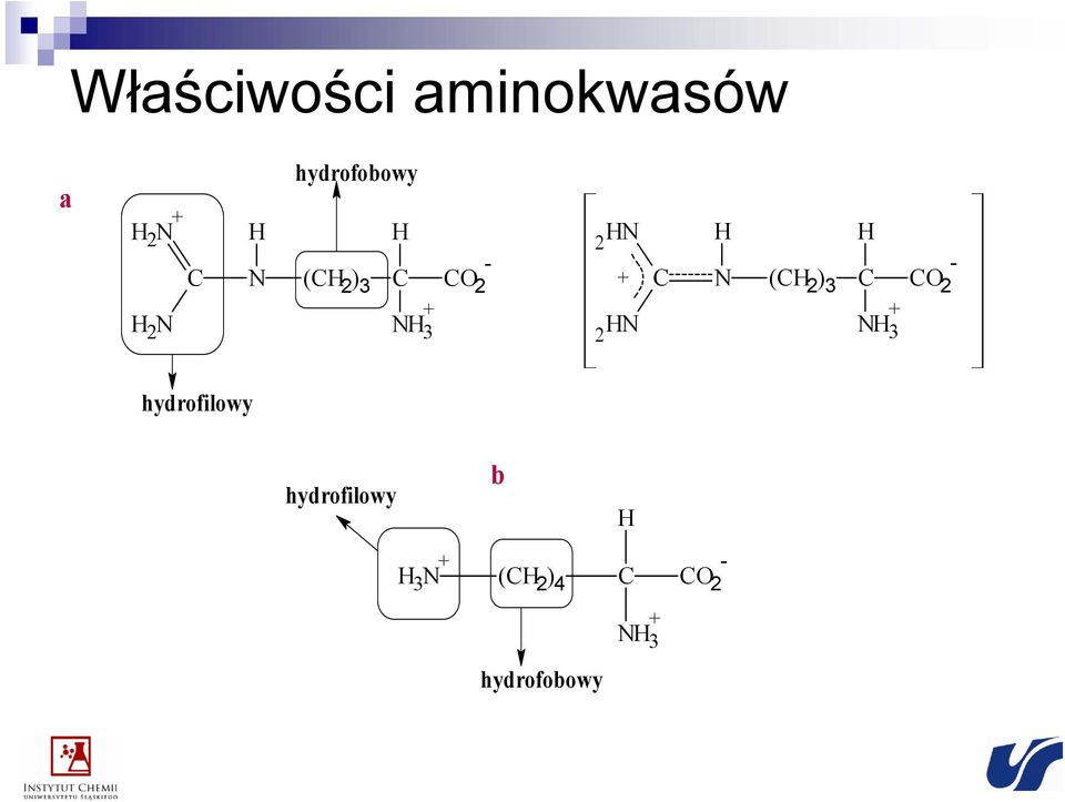 3 C CO 2-2 N N 3 + 2 N N 3 + hydrofilowy