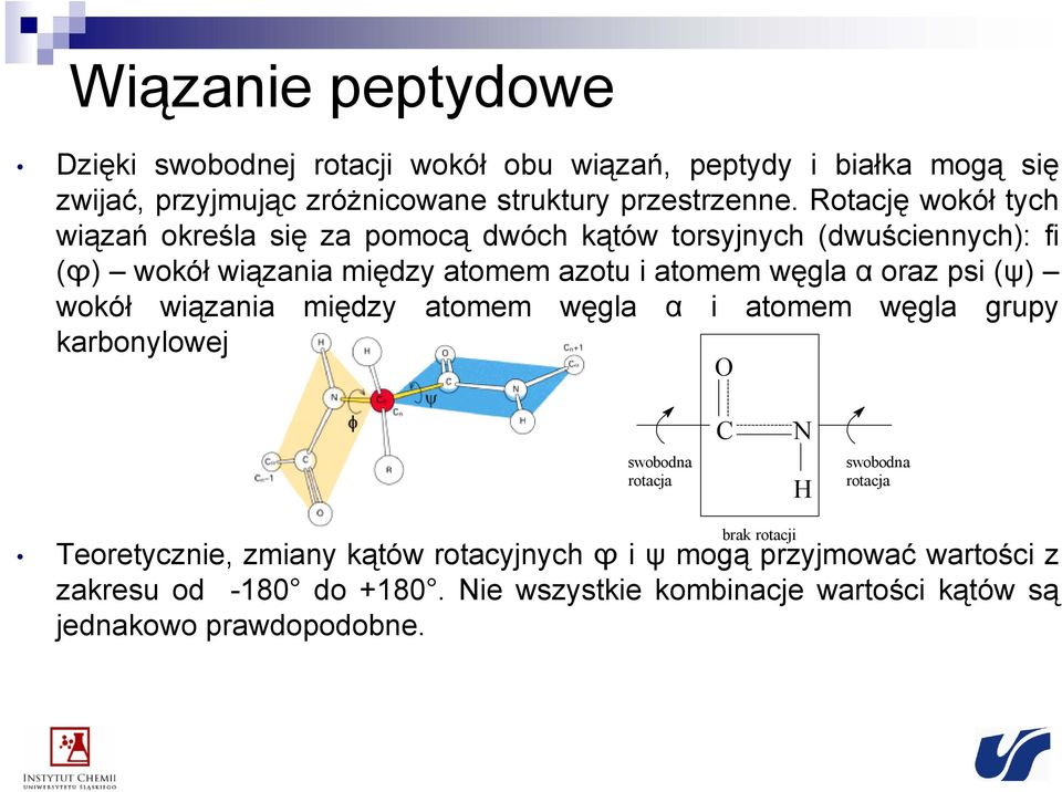 oraz psi (ψ) wokół wiązania między atomem węgla α i atomem węgla grupy karbonylowej O swobodna rotacja C N swobodna rotacja brak rotacji