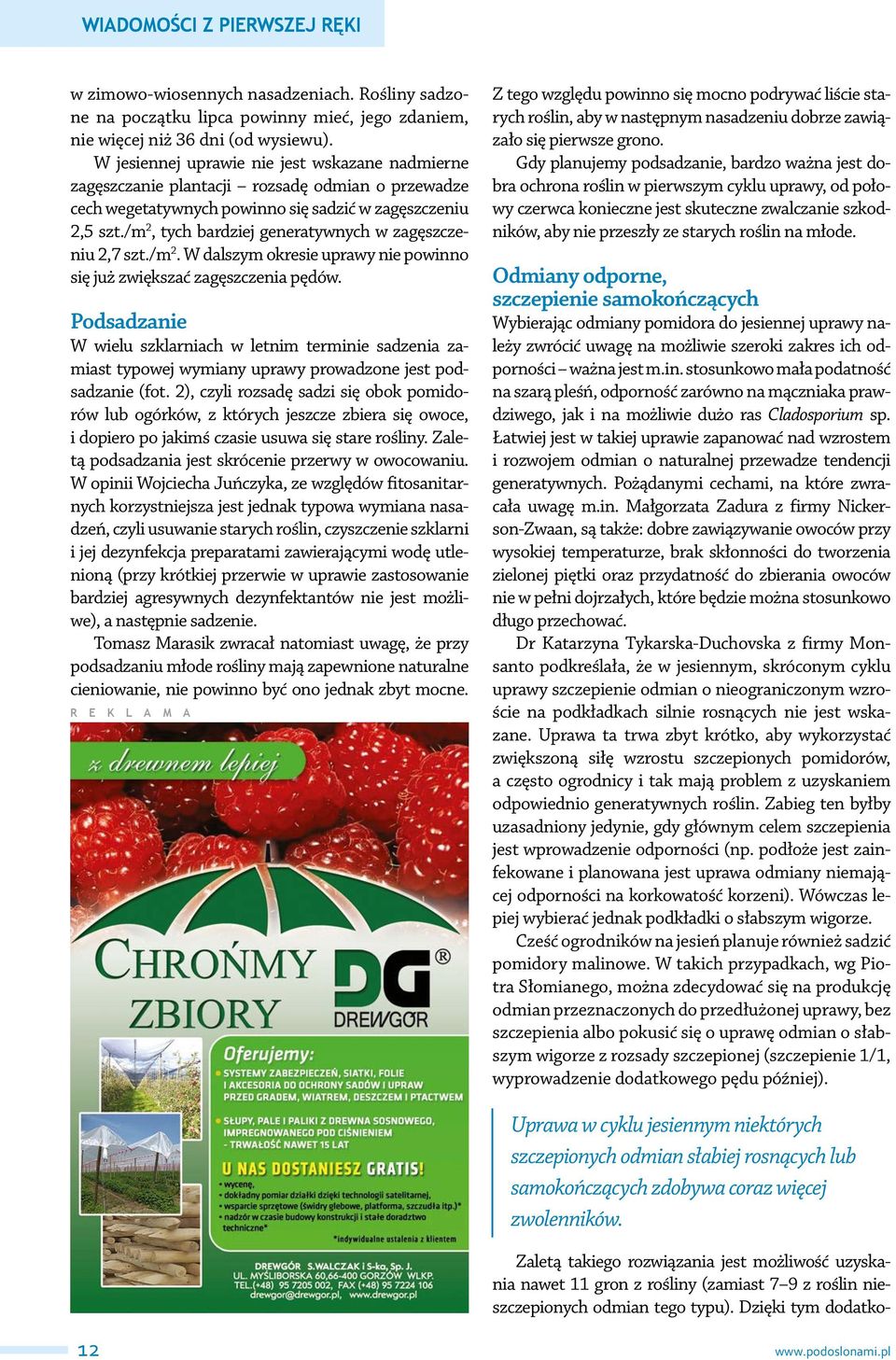 /m 2, tych bardziej generatywnych w zagęszczeniu 2,7 szt./m 2. W dalszym okresie uprawy nie powinno się już zwiększać zagęszczenia pędów.