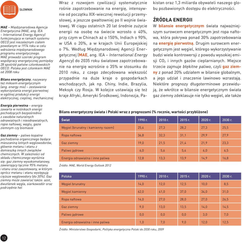 MAE prowadzi szeroki program współpracy energetycznej pomiędzy 28 spośród państw członkowskich OECD. Polska jest członkiem MAE od 2008 roku Bilans energetyczny, nazywany też miksem energetycznym (ang.
