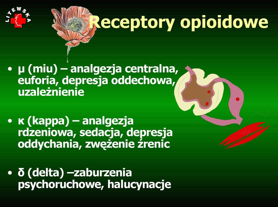 analgezja rdzeniowa, sedacja, depresja oddychania,