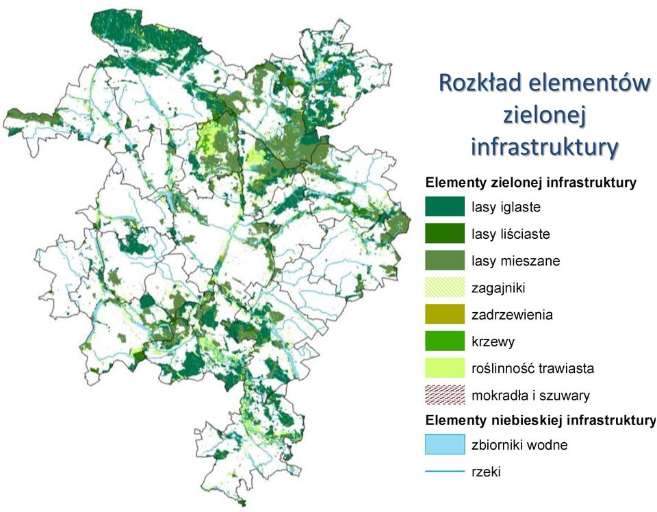 zagajniki zadrzewienia krzewy roślinność trawiasta mokradła