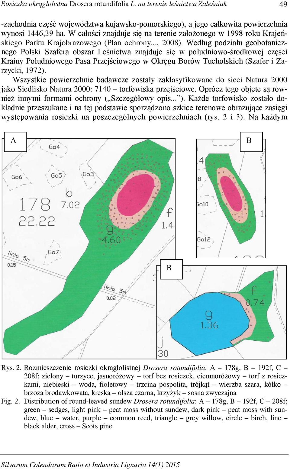 Według podziału geobotanicznego Polski Szafera obszar Leśnictwa znajduje się w południowo-środkowej części Krainy Południowego Pasa Przejściowego w Okręgu Borów Tucholskich (Szafer i Zarzycki, 1972).