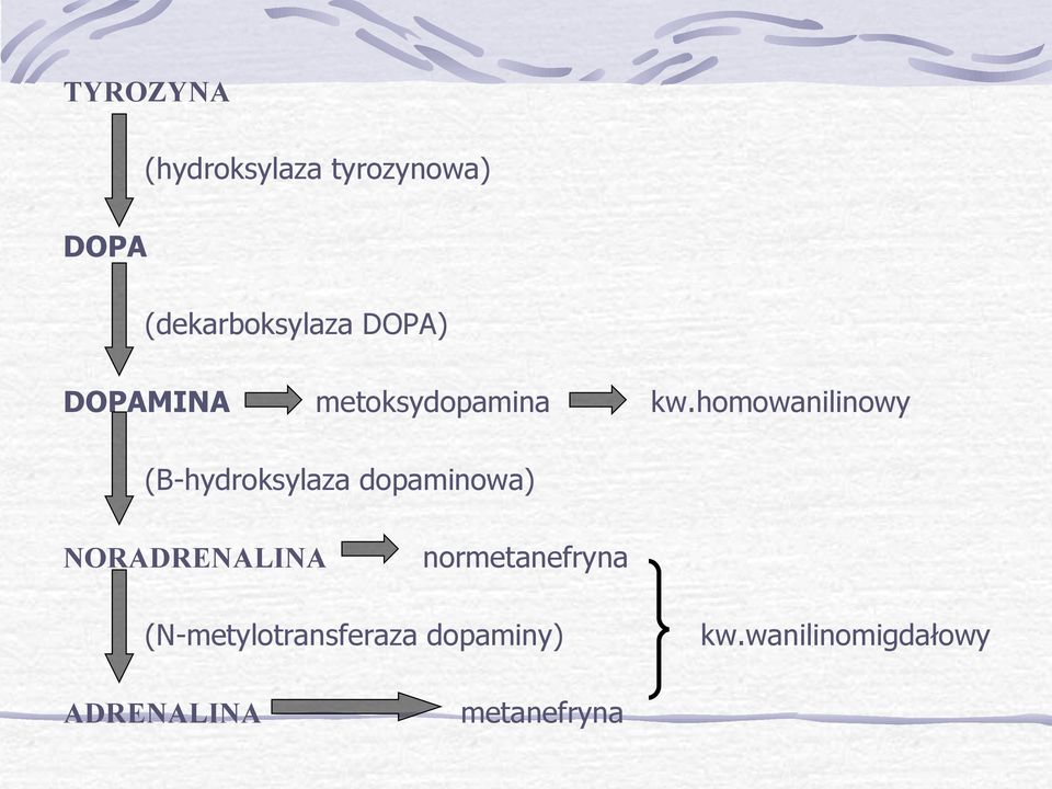 homowanilinowy (B-hydroksylaza dopaminowa) NORADRENALINA