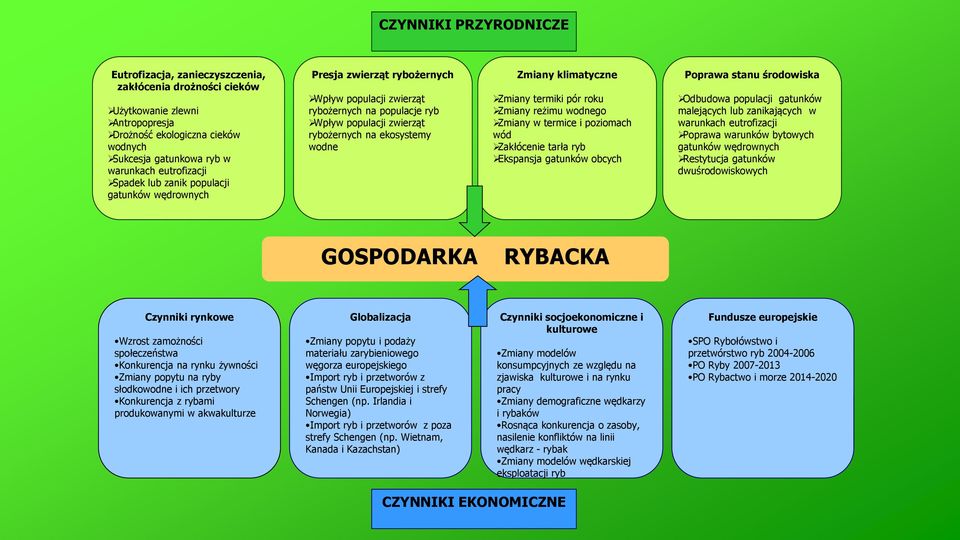 klimatyczne Zmiany termiki pór roku Zmiany reżimu wodnego Zmiany w termice i poziomach wód Zakłócenie tarła ryb Ekspansja gatunków obcych Poprawa stanu środowiska Odbudowa populacji gatunków