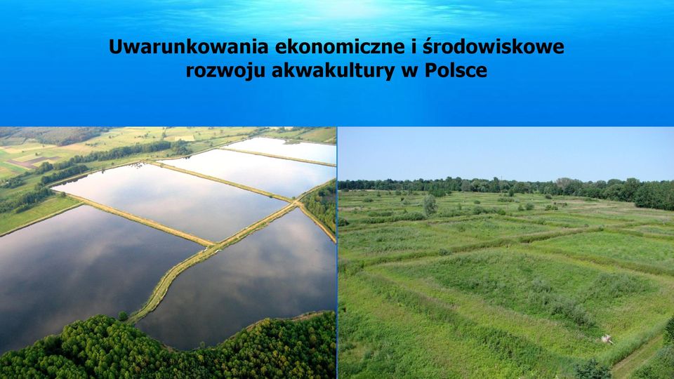 środowiskowe