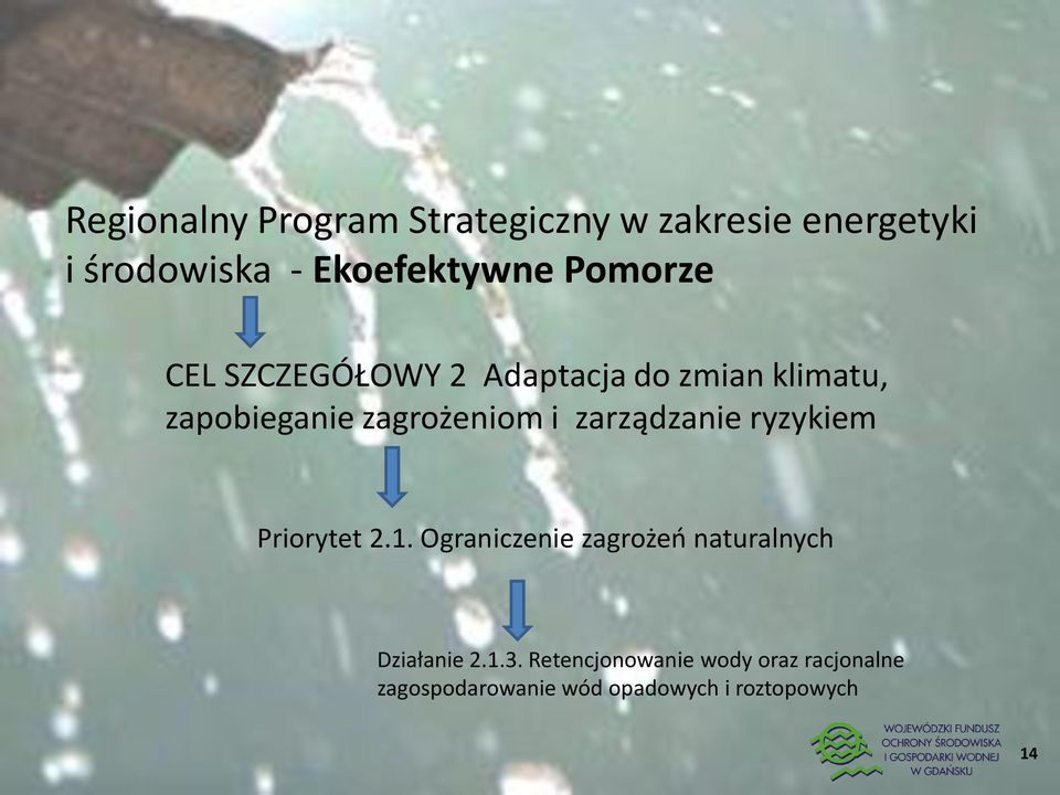 zarządzanie ryzykiem Priorytet 2.1. Ograniczenie zagrożeń naturalnych Działanie 2.1.3.