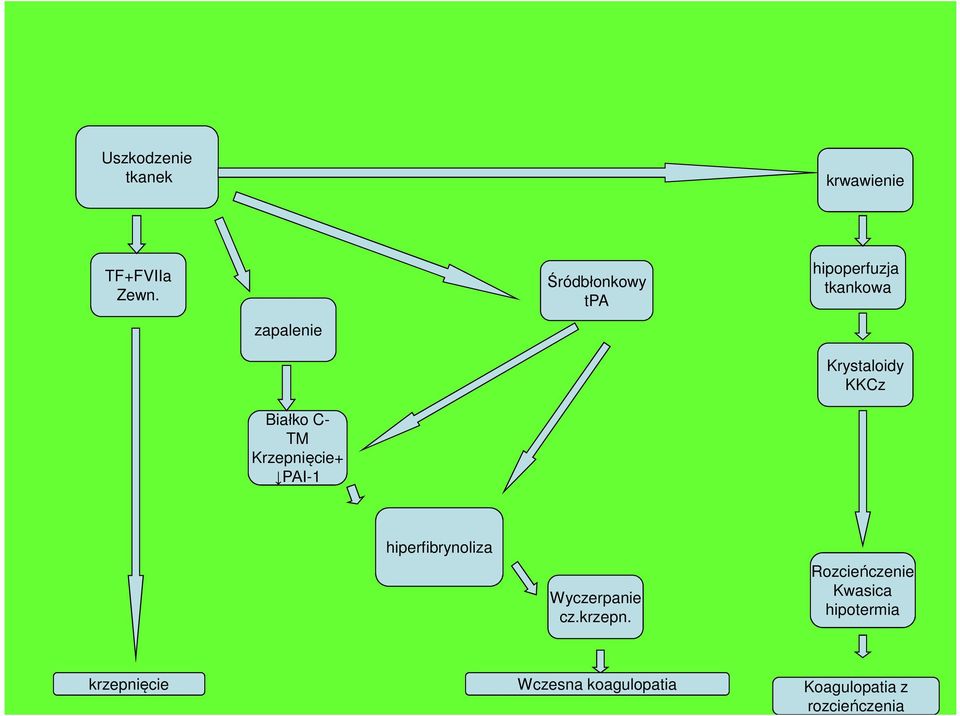 hipoperfuzja tkankowa Krystaloidy KKCz hiperfibrynoliza Wyczerpanie