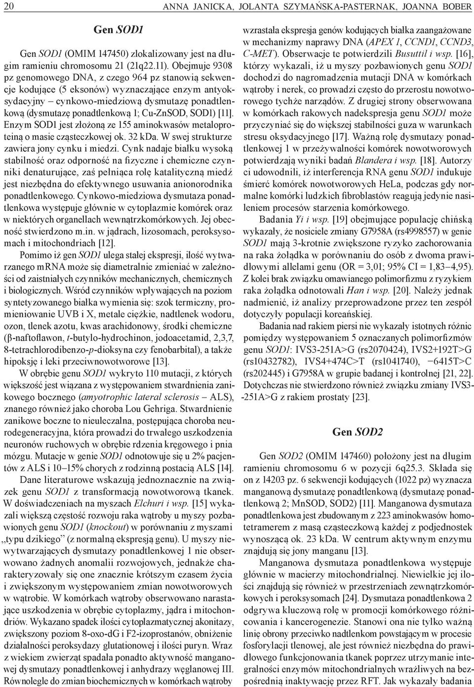 ZnSOD, SOD1) [11]. Enzym SOD1 jest złożoną ze 155 aminokwasów metaloproteiną o masie cząsteczkowej ok. 32 kda. W swej strukturze zawiera jony cynku i miedzi.