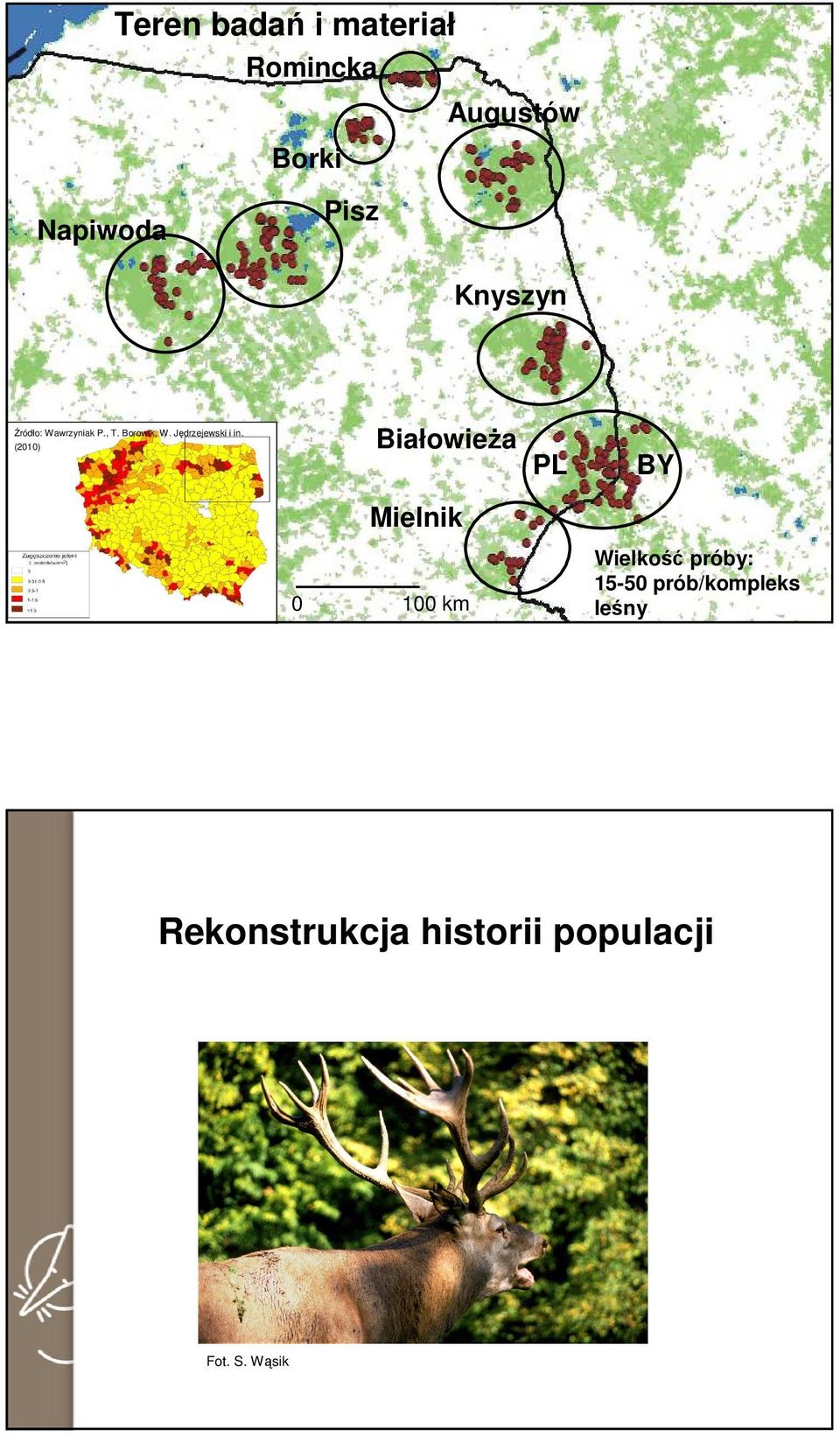 Jędrzejewski i in.