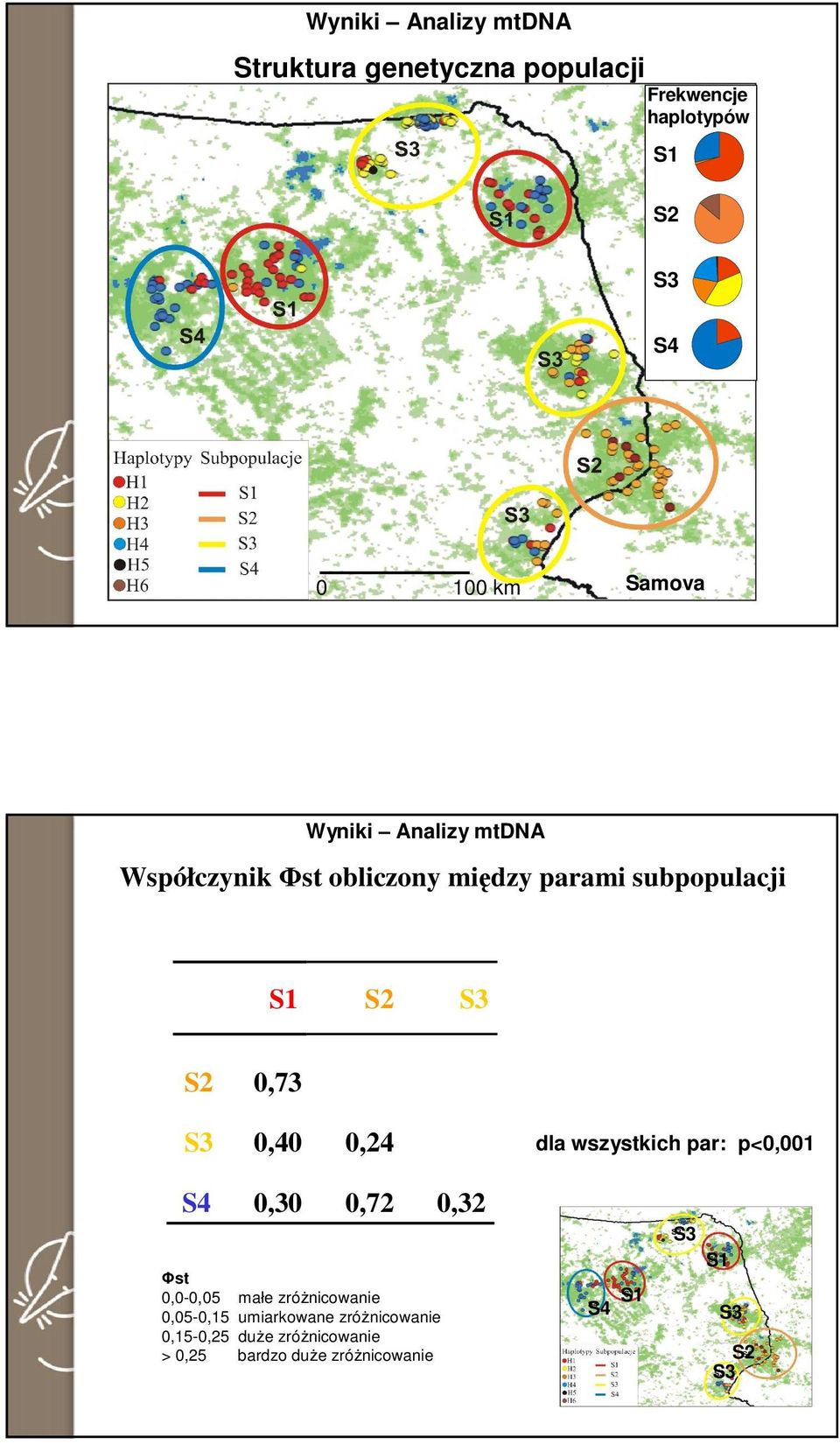 0,40 0,24 dla wszystkich par: p<0,001 S4 0,30 0,72 0,32 Φst 0,0-0,05 małe zróżnicowanie 0,05-0,15