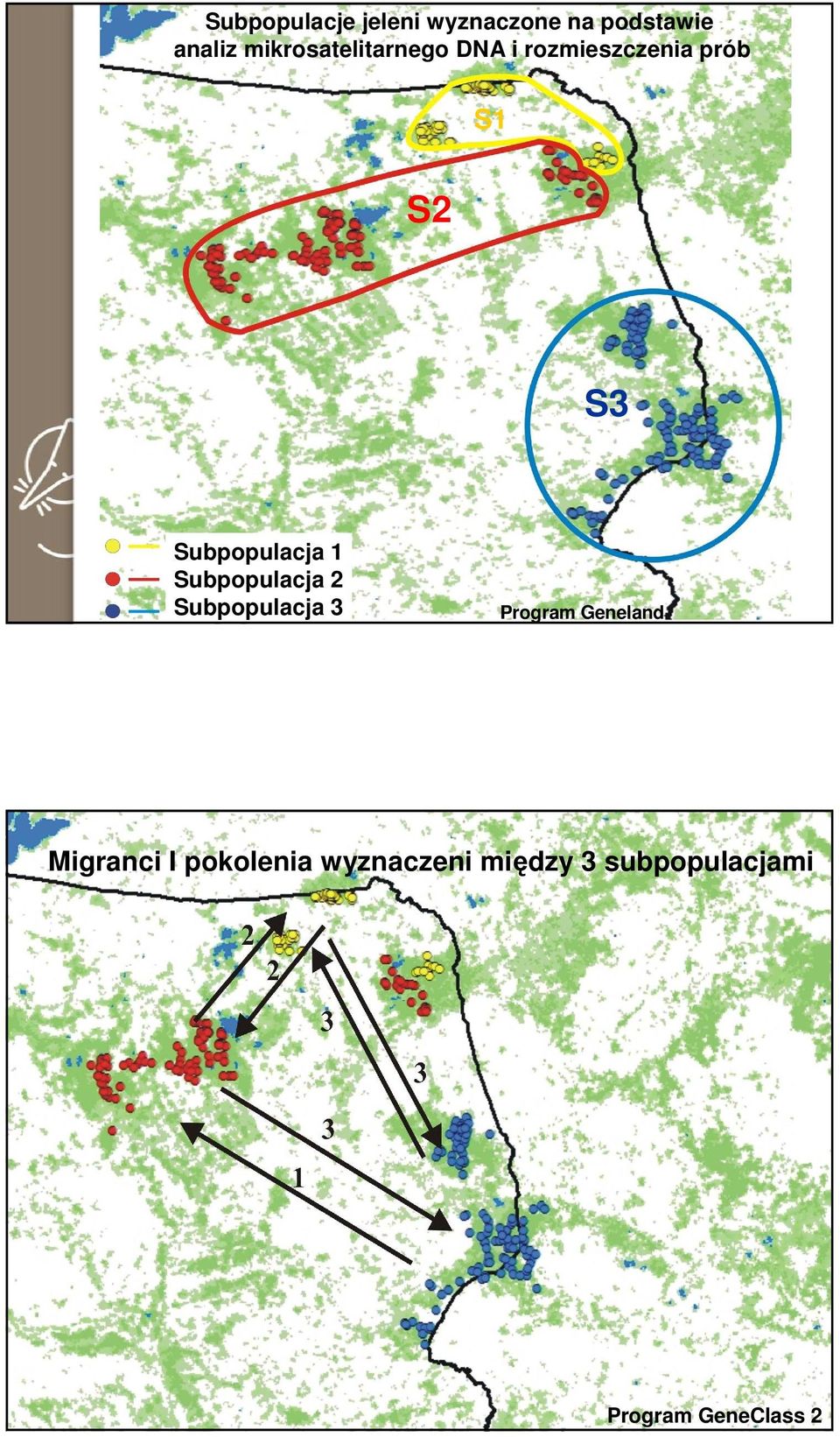 Subpopulacja 1 Subpopulacja 2 Subpopulacja 3 Program