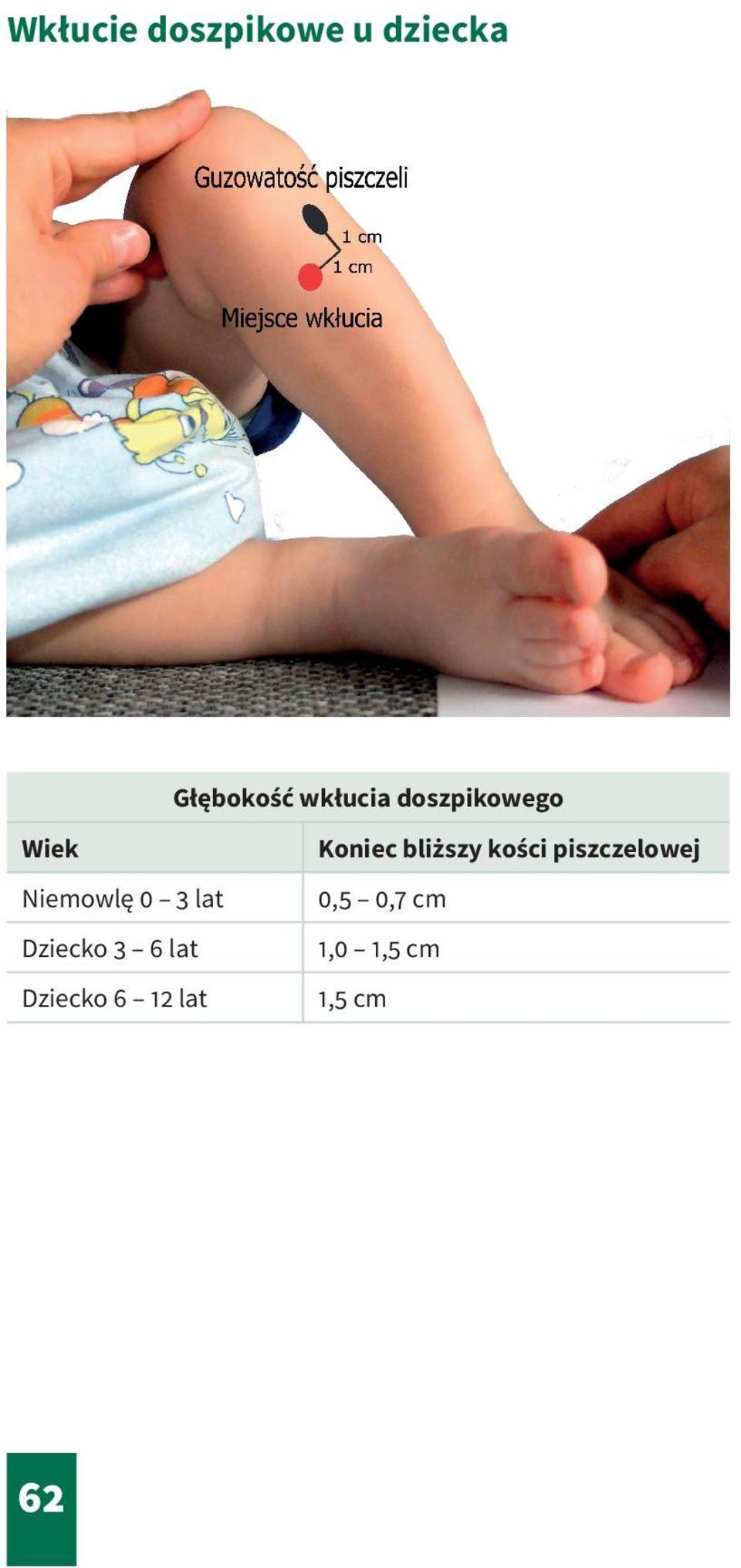 kości piszczelowej Niemowlę 0 3 lat 0,5 0,7