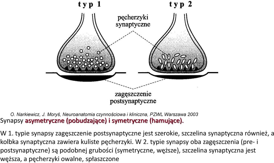 (hamujące). W 1.