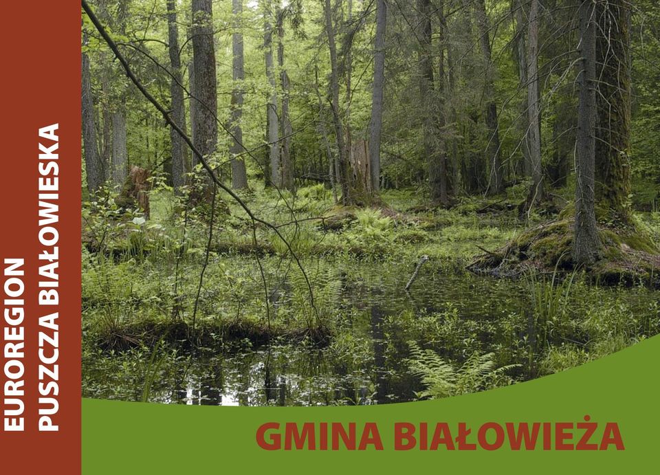 BIAŁOWIESKA