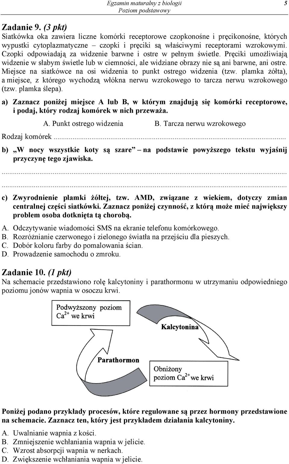 Czopki odpowiadają za widzenie barwne i ostre w pełnym świetle. Pręciki umożliwiają widzenie w słabym świetle lub w ciemności, ale widziane obrazy nie są ani barwne, ani ostre.