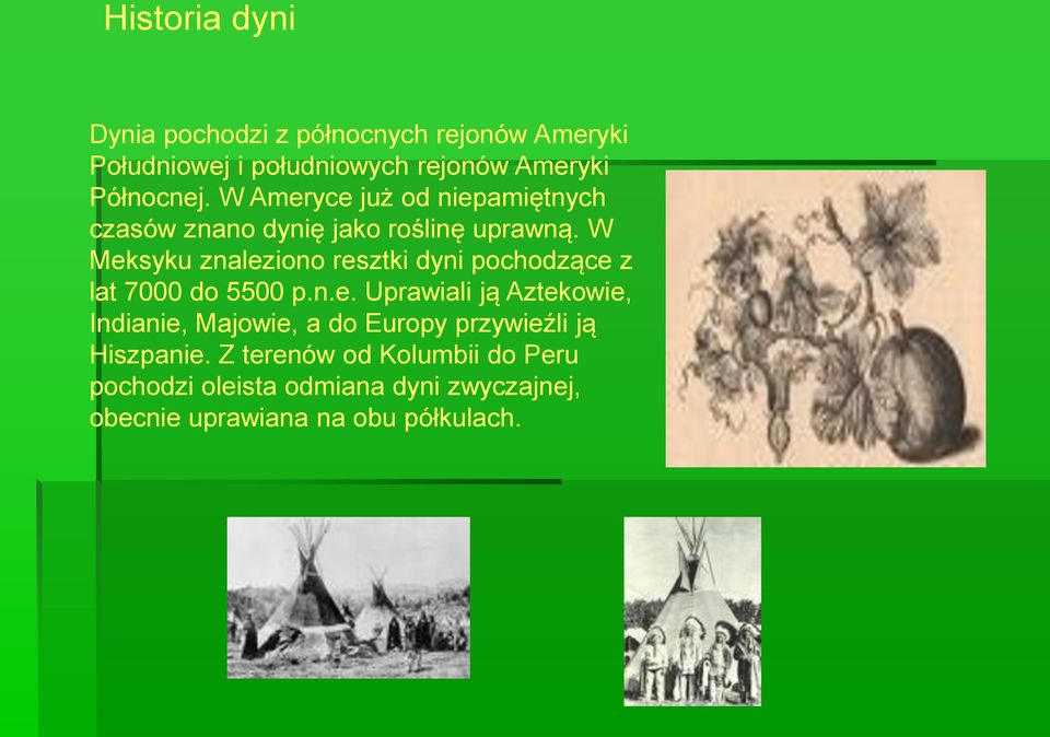 W Meksyku znaleziono resztki dyni pochodzące z lat 7000 do 5500 p.n.e. Uprawiali ją Aztekowie, Indianie, Majowie, a do Europy przywieźli ją Hiszpanie.