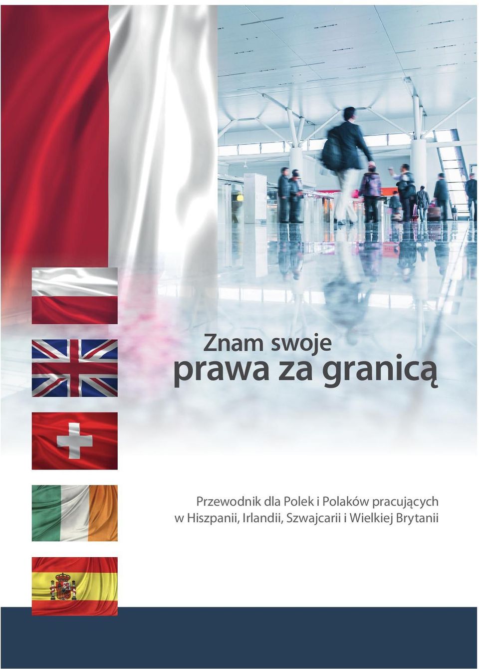 Zagranicznych w ramach konkursu na realizację zadania Współpraca z Polonią i Polakami za