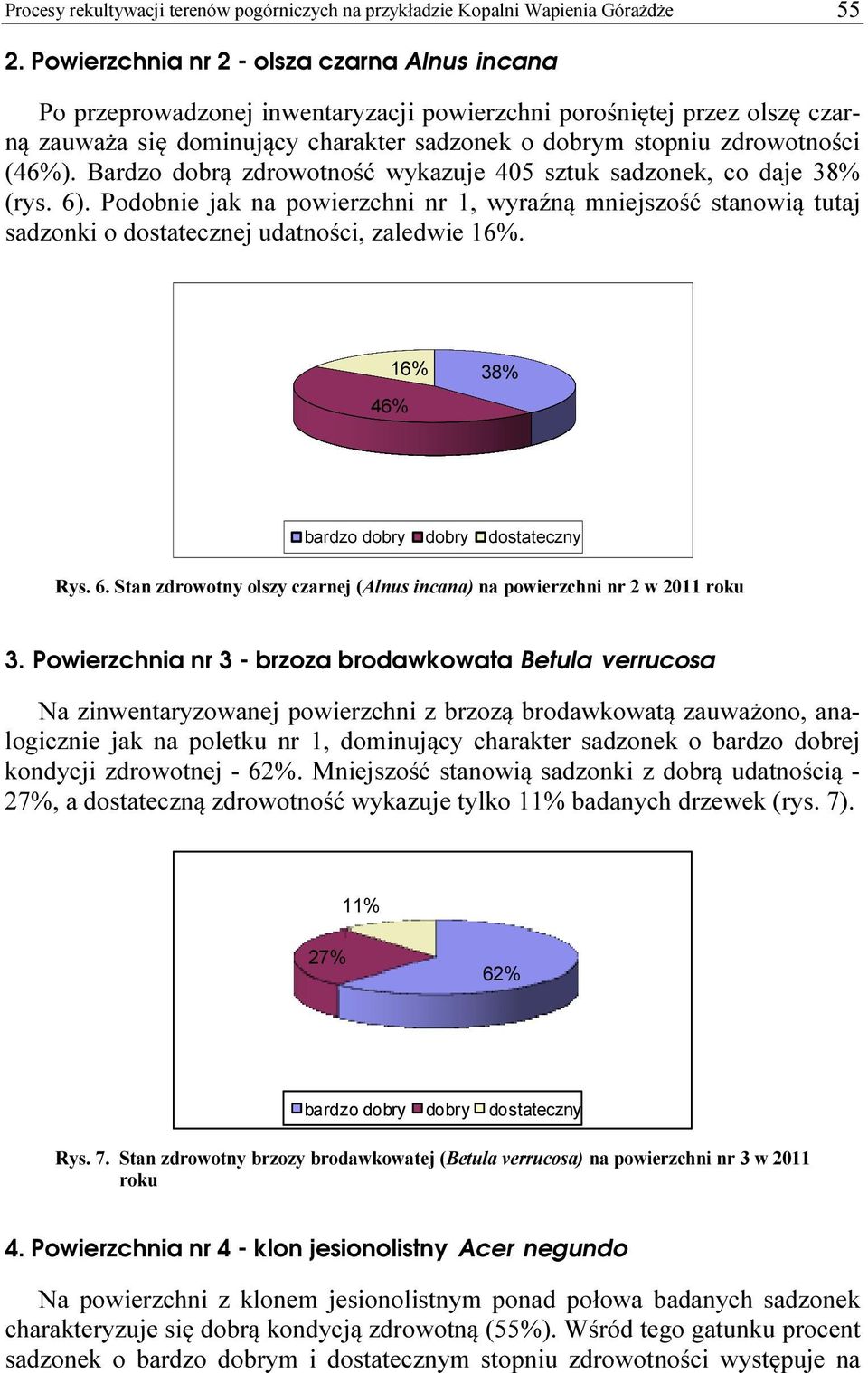 (46%). Bardzo dobrą zdrowotność wykazuje 405 sztuk sadzonek, co daje 38% (rys. 6). Podobnie jak na powierzchni nr 1, wyraźną mniejszość stanowią tutaj sadzonki o dostatecznej udatności, zaledwie 16%.