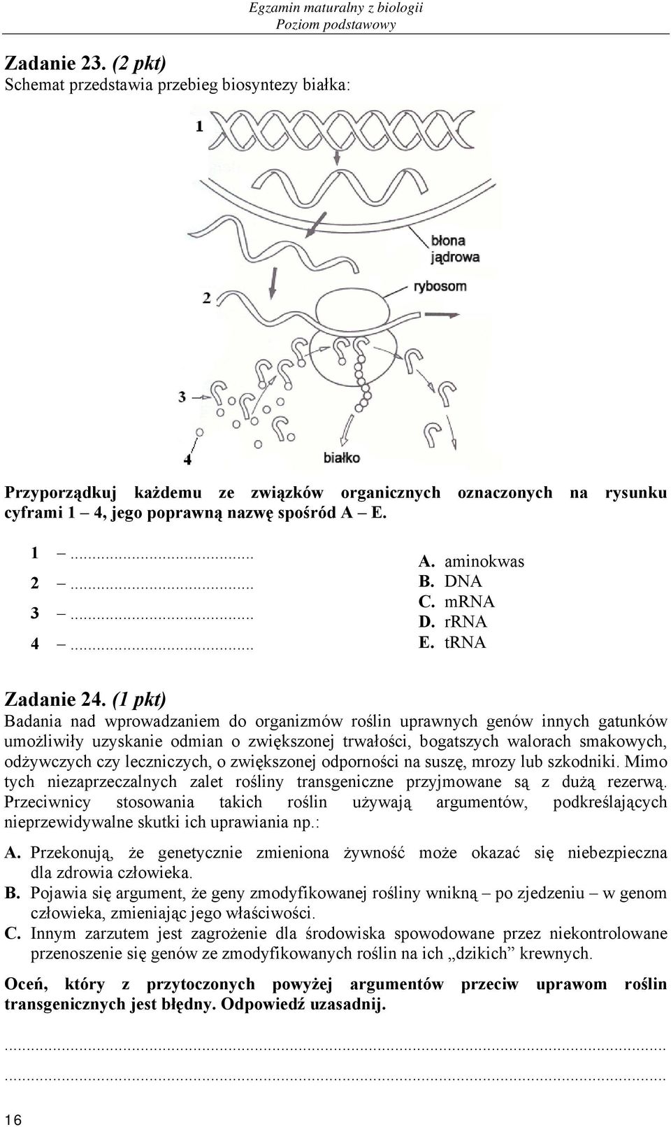 (1 pkt) Badania nad wprowadzaniem do organizmów roślin uprawnych genów innych gatunków umożliwiły uzyskanie odmian o zwiększonej trwałości, bogatszych walorach smakowych, odżywczych czy leczniczych,