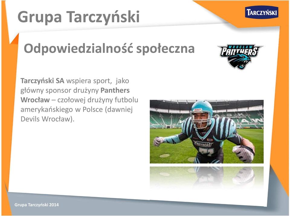 sponsor drużyny Panthers Wrocław czołowej