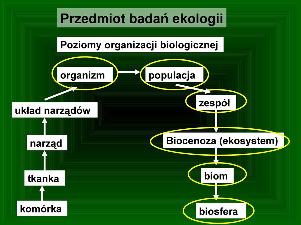 układ narządów narząd populacja zespół