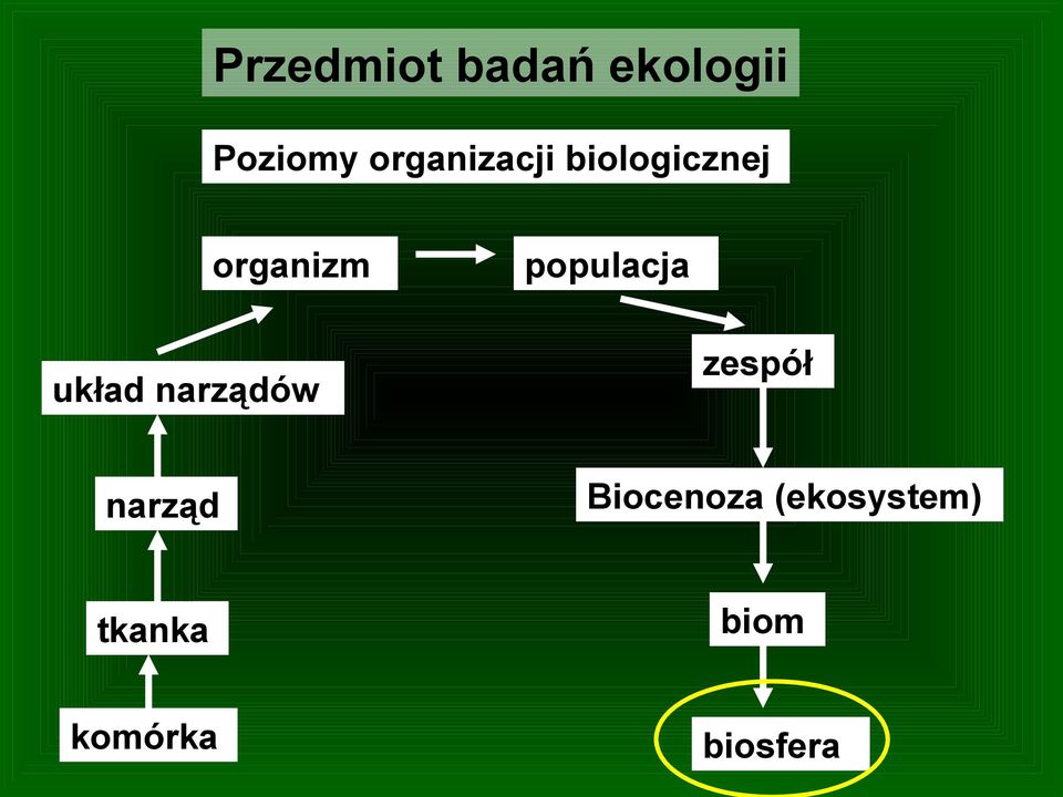 układ narządów narząd populacja zespół