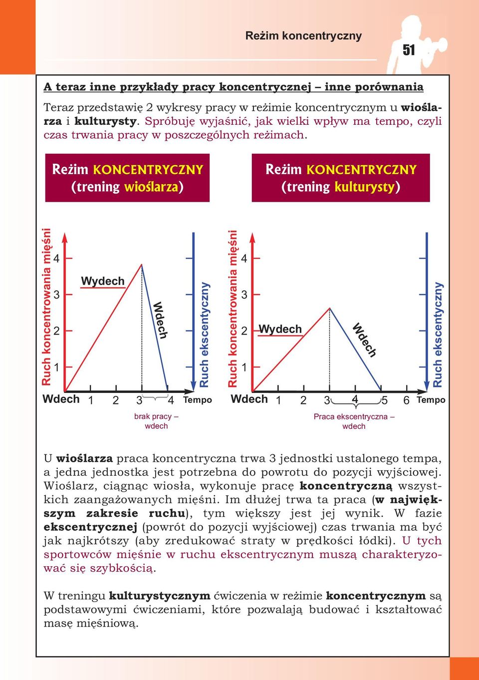 Reżim KONCENTRYCZNY (trening wioślarza) Reżim KONCENTRYCZNY (trening kulturysty) Ruch koncentrowania mięśni 4 3 2 1 Wydech Wdech Ruch ekscentyczny Ruch koncentrowania mięśni 4 3 2 1 Wydech Wdech Ruch