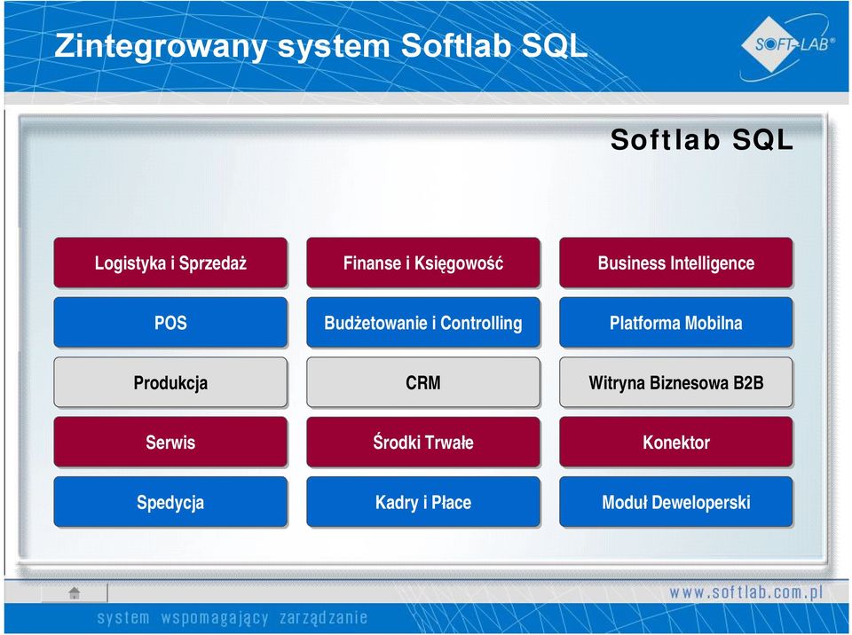 Controlling Platforma Mobilna Produkcja CRM Witryna Biznesowa B2B