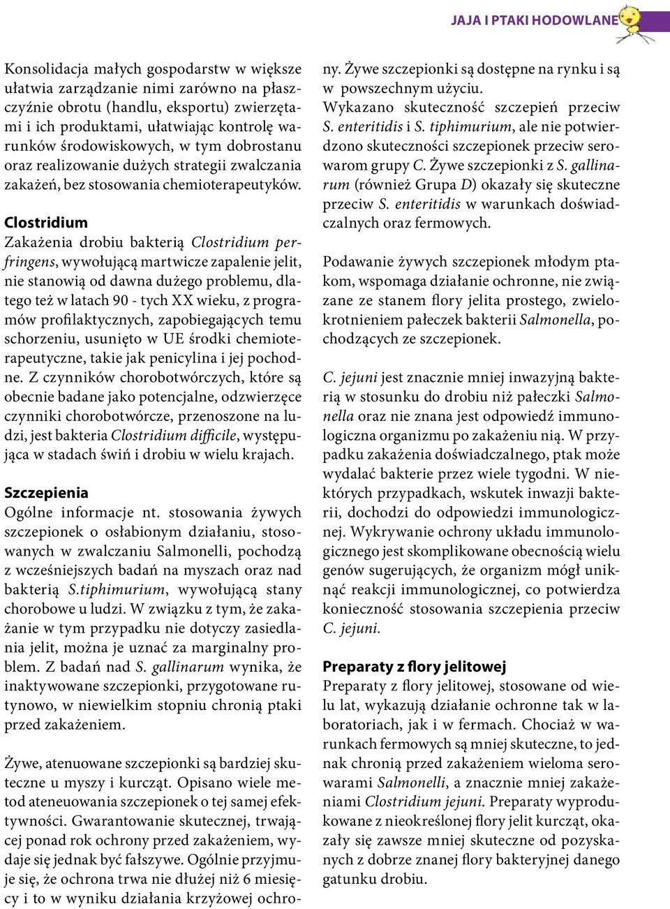 Clostridium Zakażenia drobiu bakterią Clostridium perfringens, wywołującą martwicze zapalenie jelit, nie stanowią od dawna dużego problemu, dlatego też w latach 90 - tych XX wieku, z programów