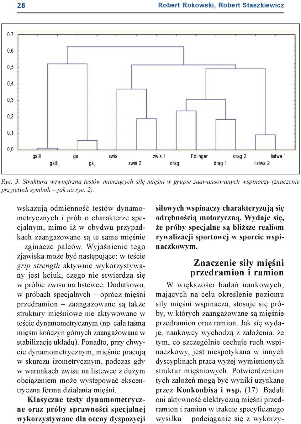 wskazują odmienność testów dynamometrycznych i prób o charakterze specjalnym, mimo iż w obydwu przypadkach zaangażowane są te same mięśnie zginacze palców.