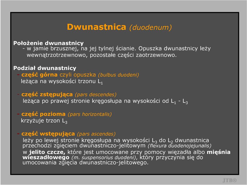 3 - część pozioma (pars horizontalis) krzyŝuje trzon L 3 - część wstępująca (pars ascendes) leŝy po lewej stronie kręgosłupa na wysokości L 3 do L 2 dwunastnica przechodzi zgięciem