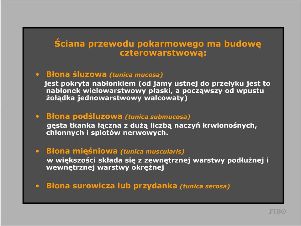 submucosa) gęsta tkanka łączna z duŝą liczbą naczyń krwionośnych, chłonnych i splotów nerwowych.