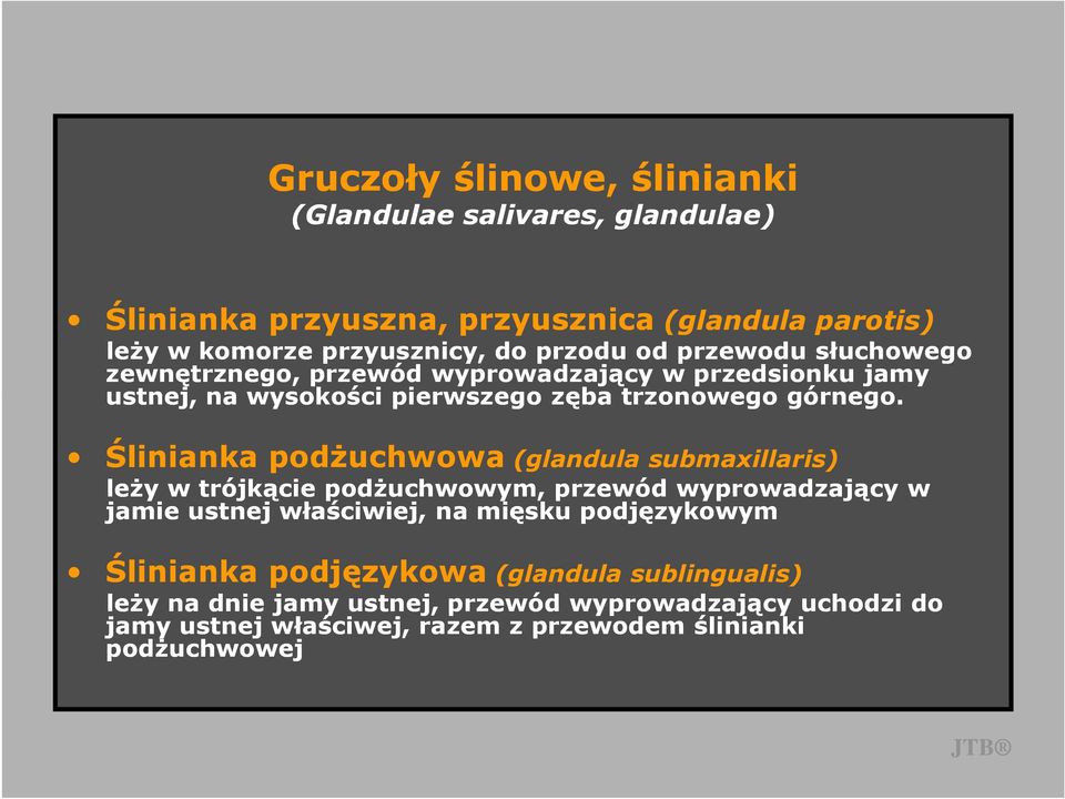 Ślinianka podŝuchwowa (glandula submaxillaris) leŝy w trójkącie podŝuchwowym, przewód wyprowadzający w jamie ustnej właściwiej, na mięsku podjęzykowym