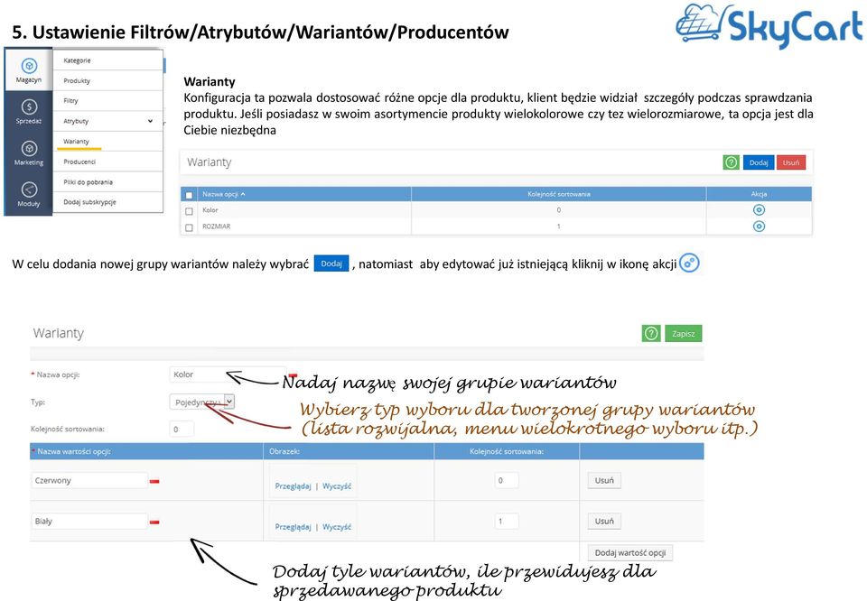 Jeśli posiadasz w swoim asortymencie produkty wielokolorowe czy tez wielorozmiarowe, ta opcja jest dla Ciebie niezbędna W celu dodania nowej grupy