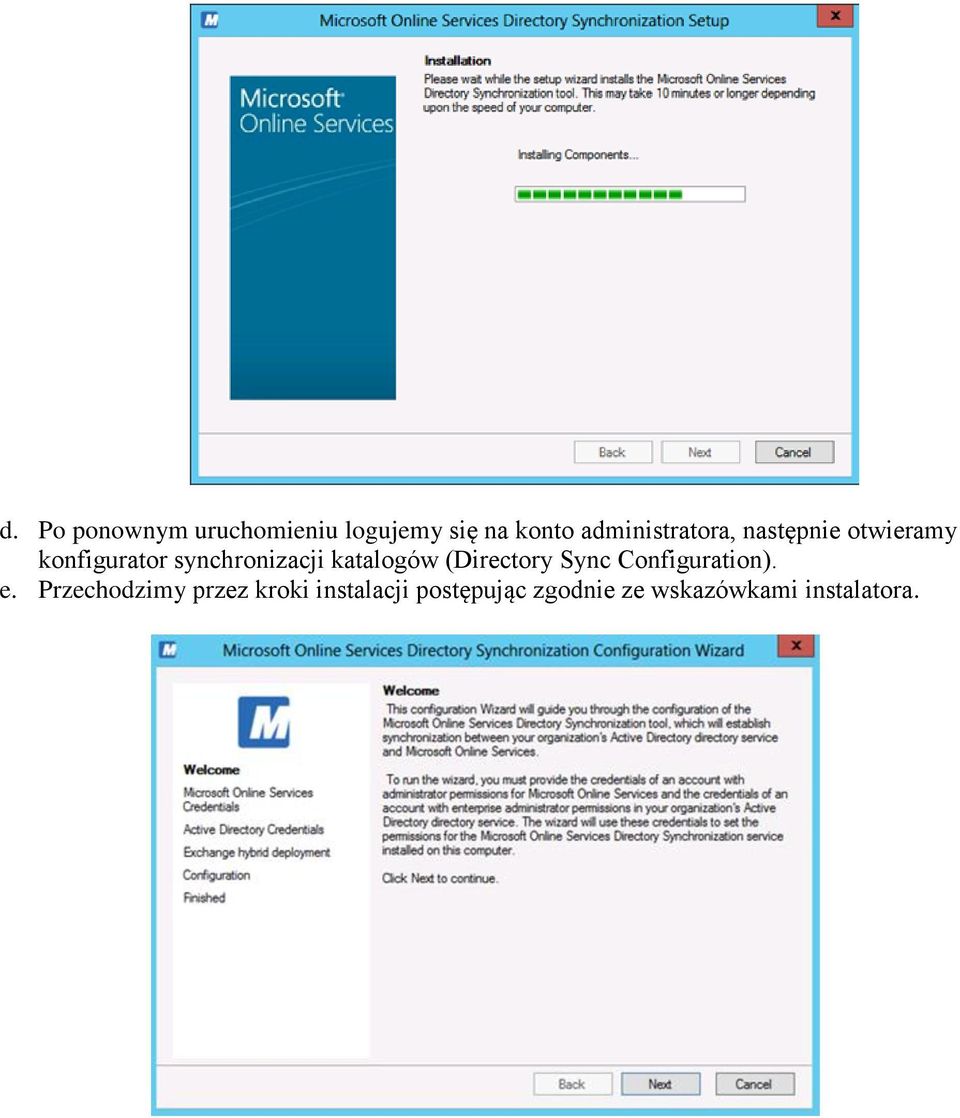 synchronizacji katalogów (Directory Sync Configuration). e.