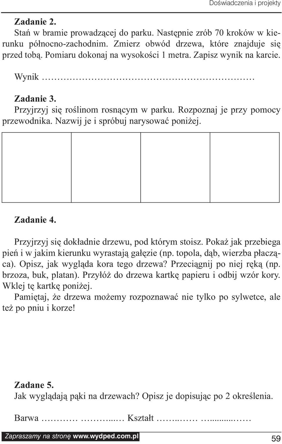 Przyjrzyj się dokładnie drzewu, pod którym stoisz. Pokaż jak przebiega pień i w jakim kierunku wyrastają gałęzie (np. topola, dąb, wierzba płacząca). Opisz, jak wygląda kora tego drzewa?