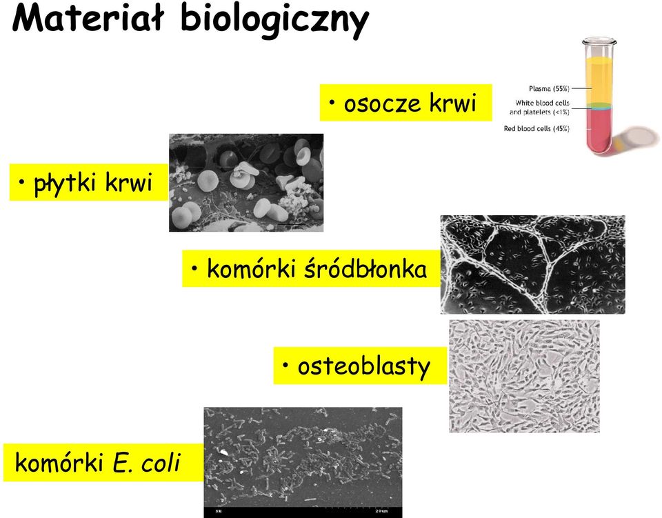 krwi komórki