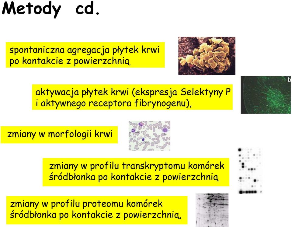 krwi (ekspresja Selektyny P i aktywnego receptora fibrynogenu), zmiany w