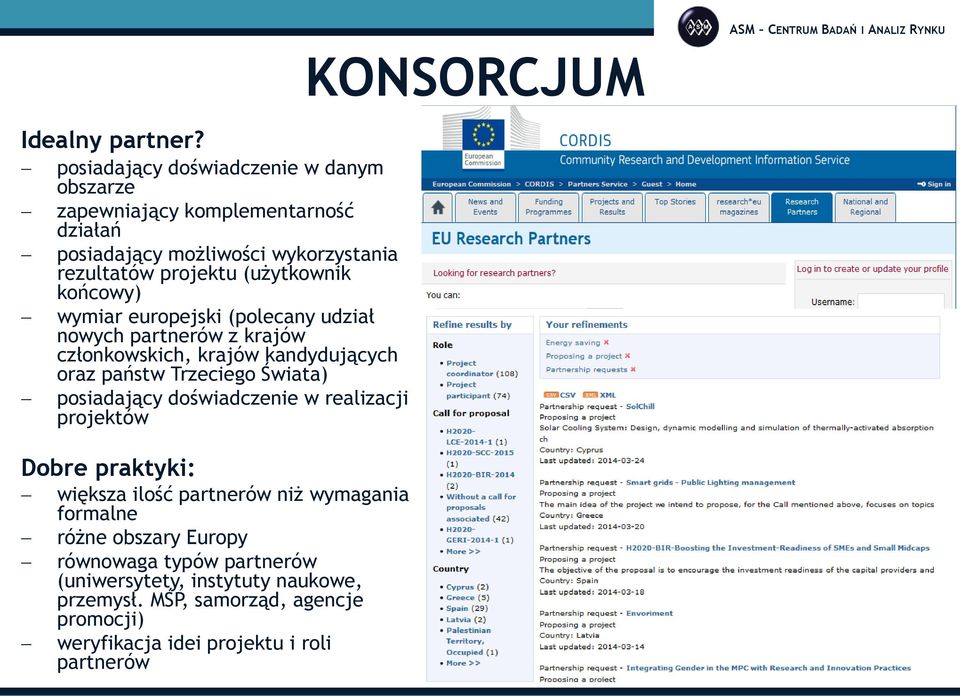 końcowy) wymiar europejski (polecany udział nowych partnerów z krajów członkowskich, krajów kandydujących oraz państw Trzeciego Świata) posiadający