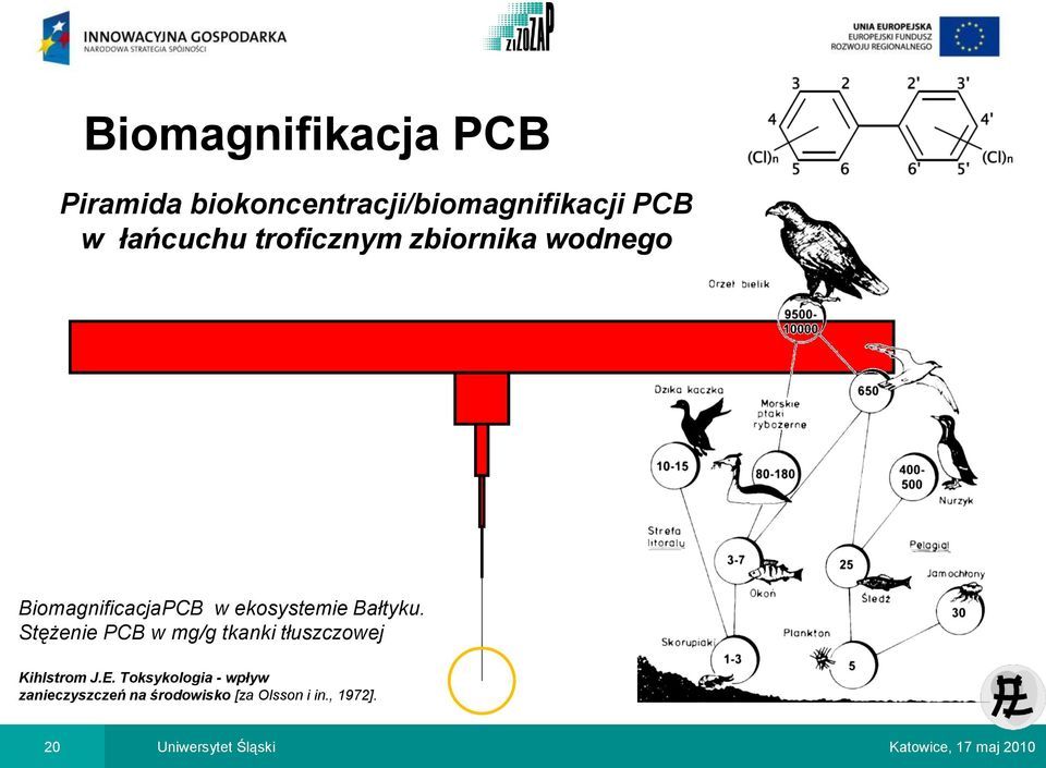 ekosystemie Bałtyku.