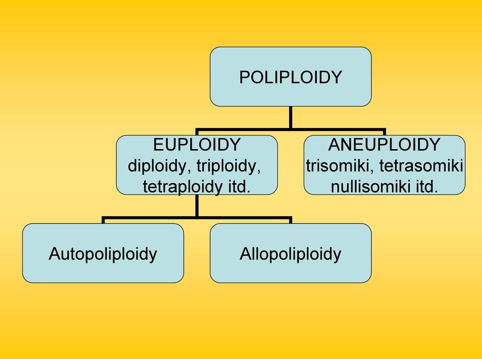 ANEUPLOIDY trisomiki, tetrasomiki