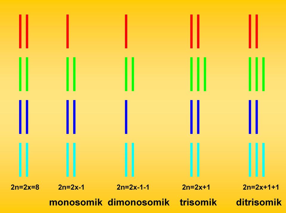 2n=2x+1+1 monosomik