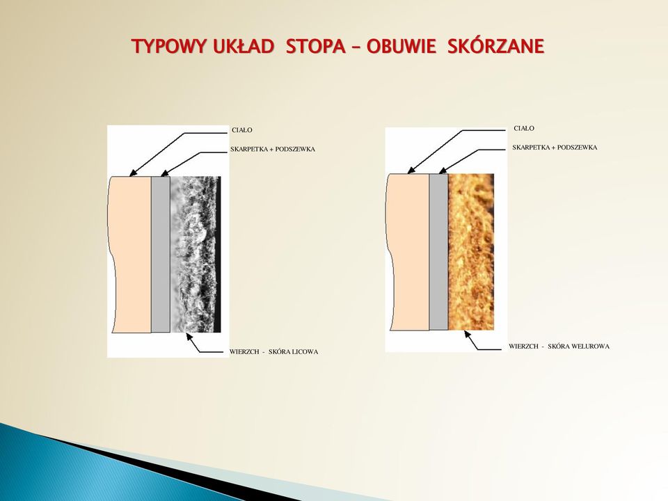 SKARPETKA + PODSZEWKA WIERZCH -