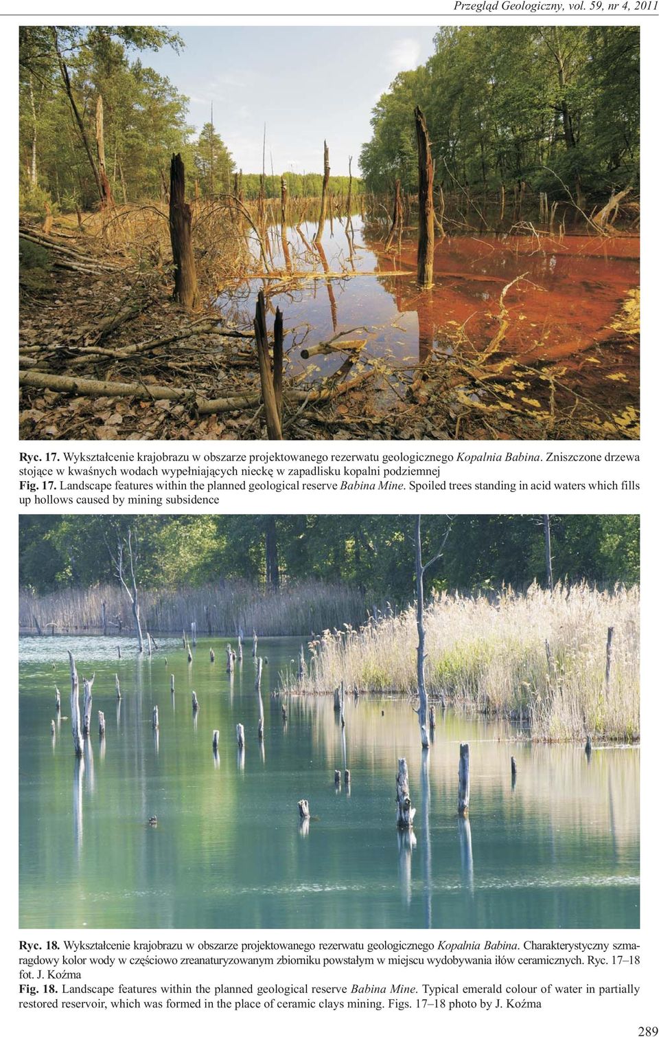 Spoiled trees standing in acid waters which fills up hollows caused by mining subsidence Ryc. 18. Wykszta³cenie krajobrazu w obszarze projektowanego rezerwatu geologicznego Kopalnia Babina.