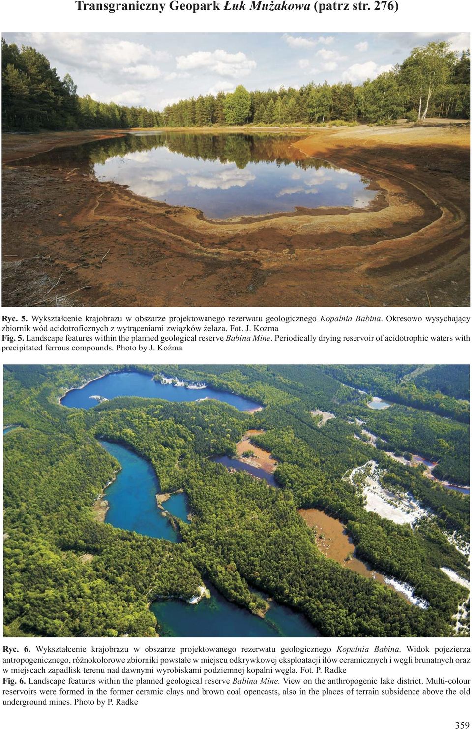 Periodically drying reservoir of acidotrophic waters with precipitated ferrous compounds. Photo by J. KoŸma Ryc. 6.