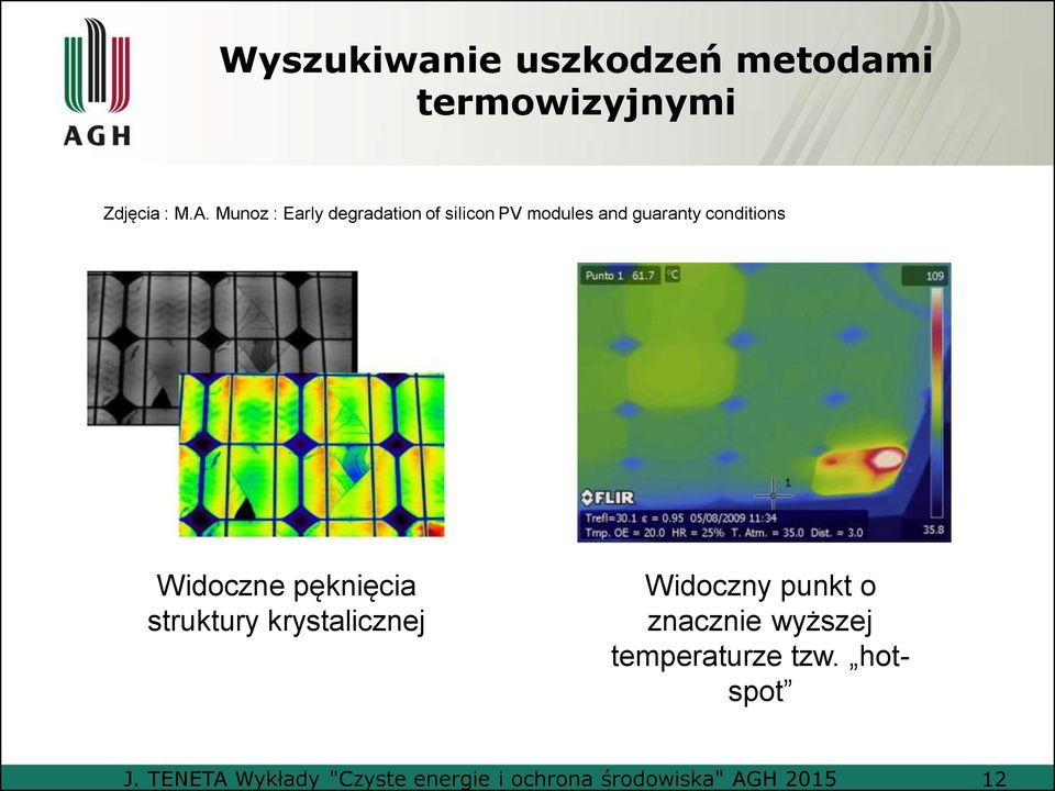 Munoz : Early degradation of silicon PV modules and guaranty conditions