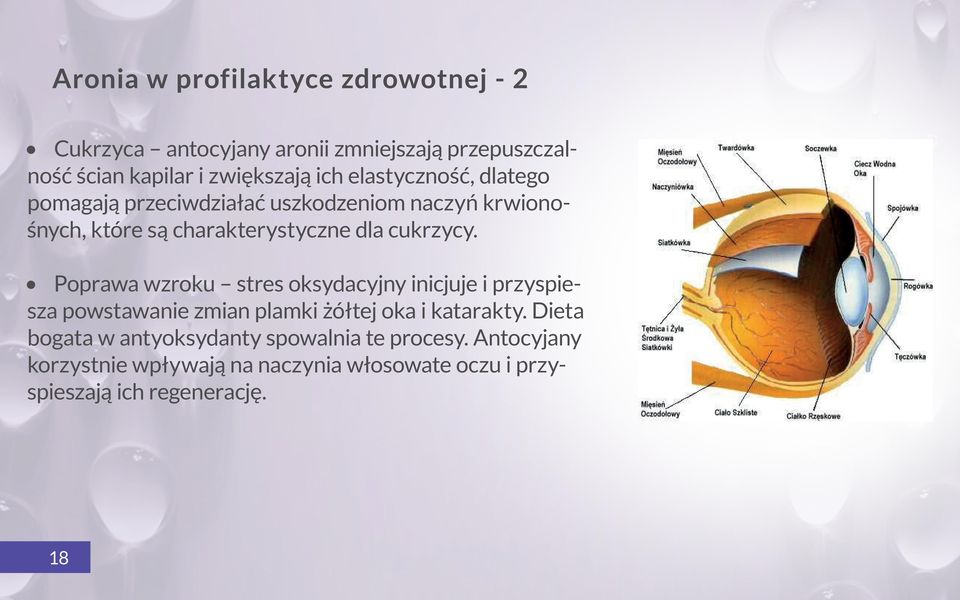 Poprawa wzroku stres oksydacyjny inicjuje i przyspiesza powstawanie zmian plamki żółtej oka i katarakty.