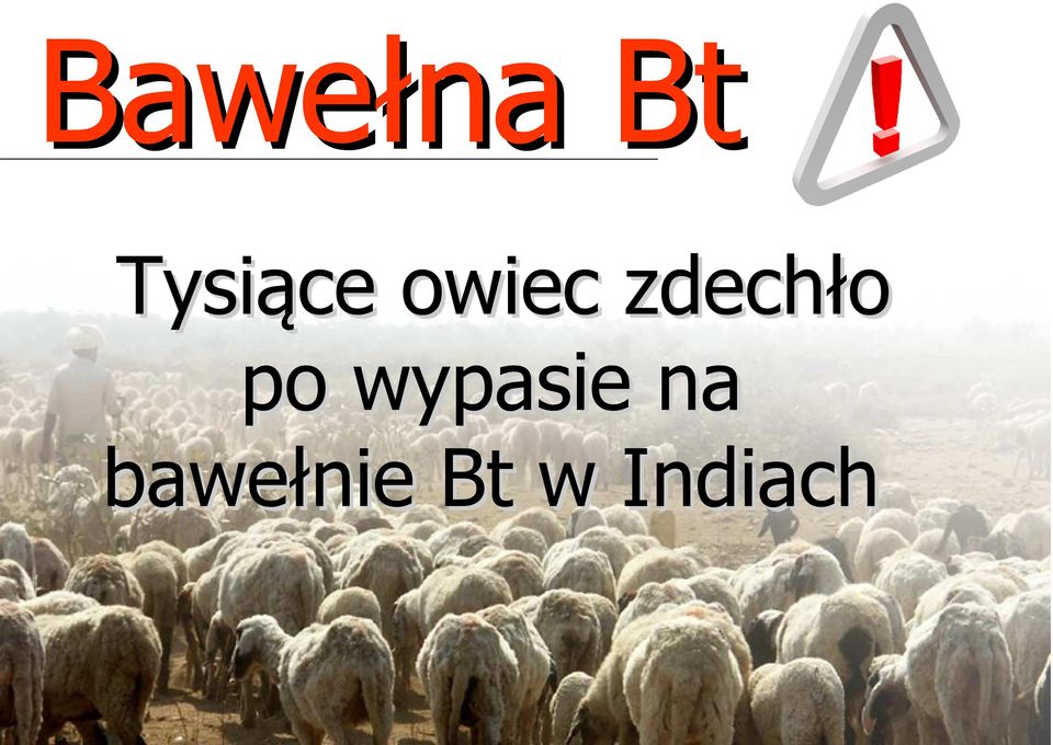 zdechło po