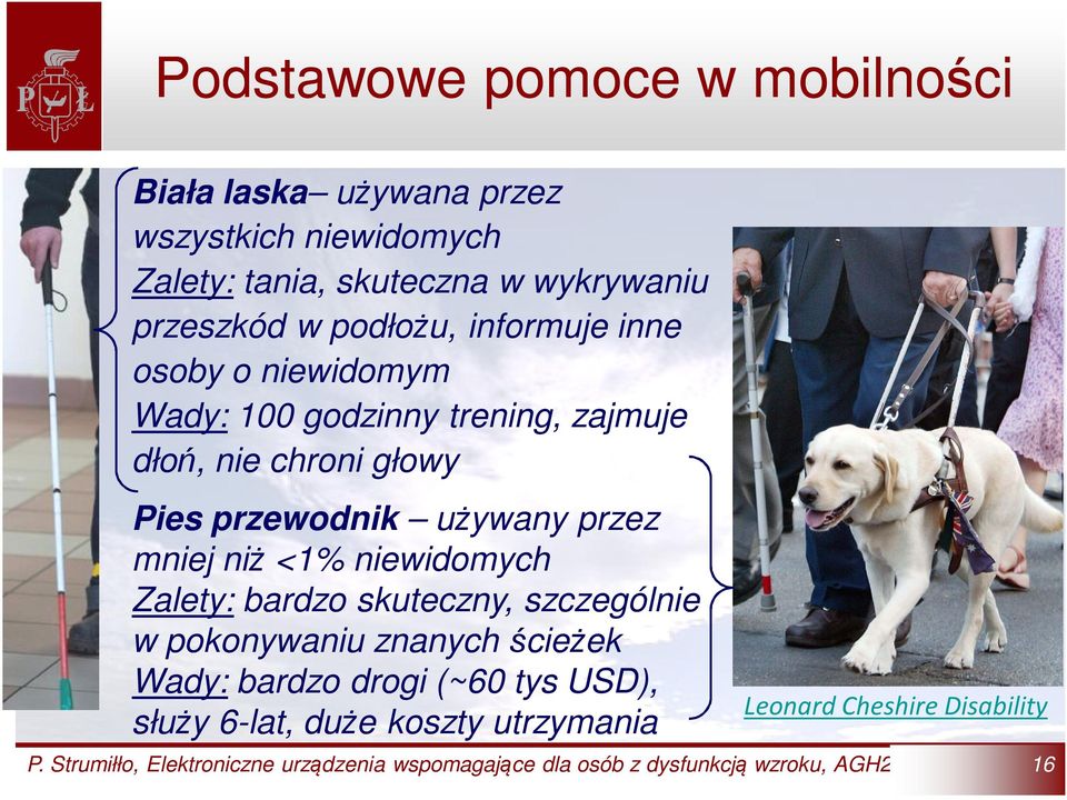 mniej niż <1% niewidomych Zalety: bardzo skuteczny, szczególnie w pokonywaniu znanych ścieżek Wady: bardzo drogi (~60 tys USD), służy